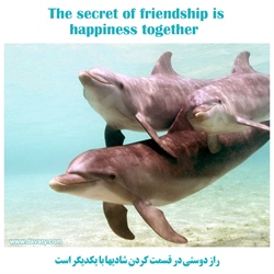 راز دوستی در قسمت کردن شادیها با یکدیگر است